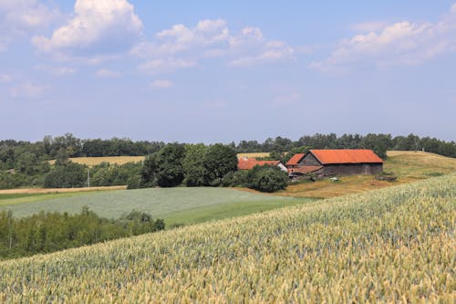 Red Farmhouse and Green Trees on Green Grass Field