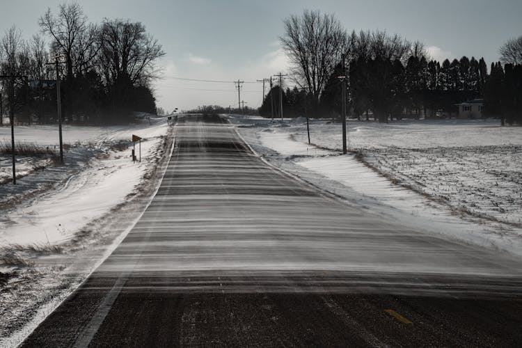 Empty Asphalt Road Between Bare Trees