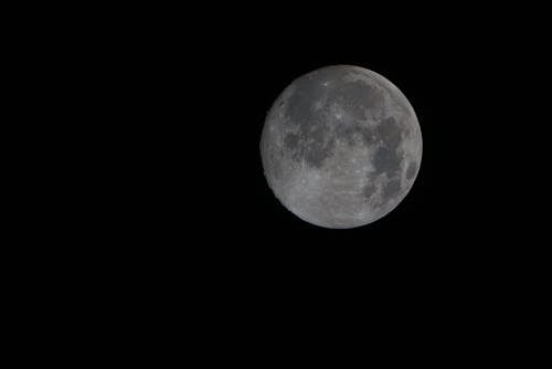 Free Full Moon on Black Sky Stock Photo