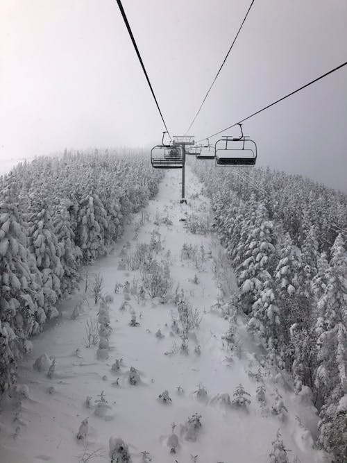 Cable Cars Over Snow Covered Trees on a Field