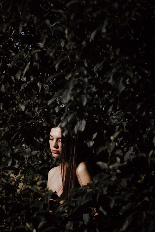 Free Portrait of a woman partially hidden among dense, dark green foliage. Stock Photo