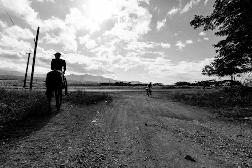 Fotos de stock gratuitas de blanco y negro, ir en bici, montando a caballo