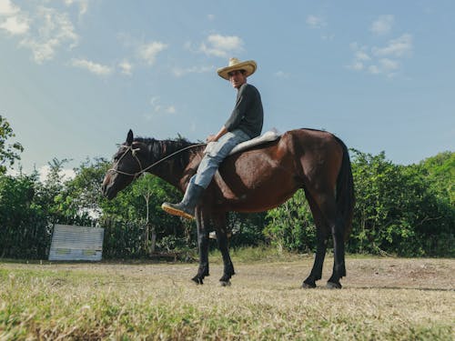 Foto profissional grátis de animal, caubói, cavalgada