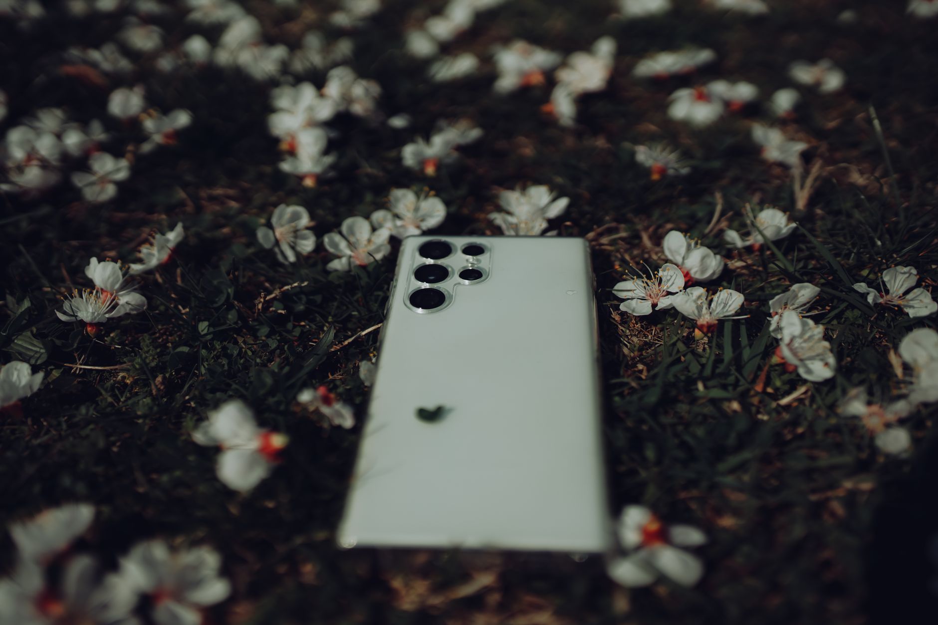 Close-up of a smartphone on grass surrounded by white flowers, symbolizing technology in nature.