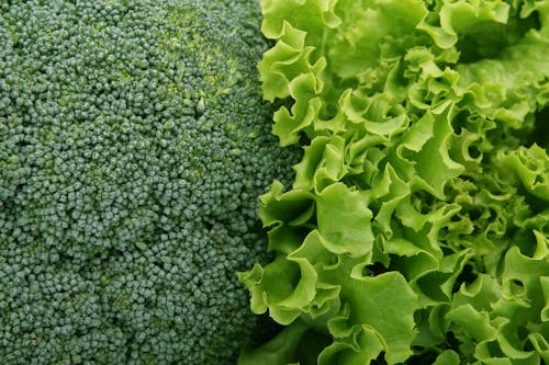 Foto stok gratis Brokoli, hijau, kesegaran