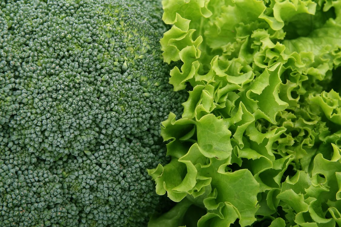 治未病-自然療法-飲食新知-營養價值-蔬菜