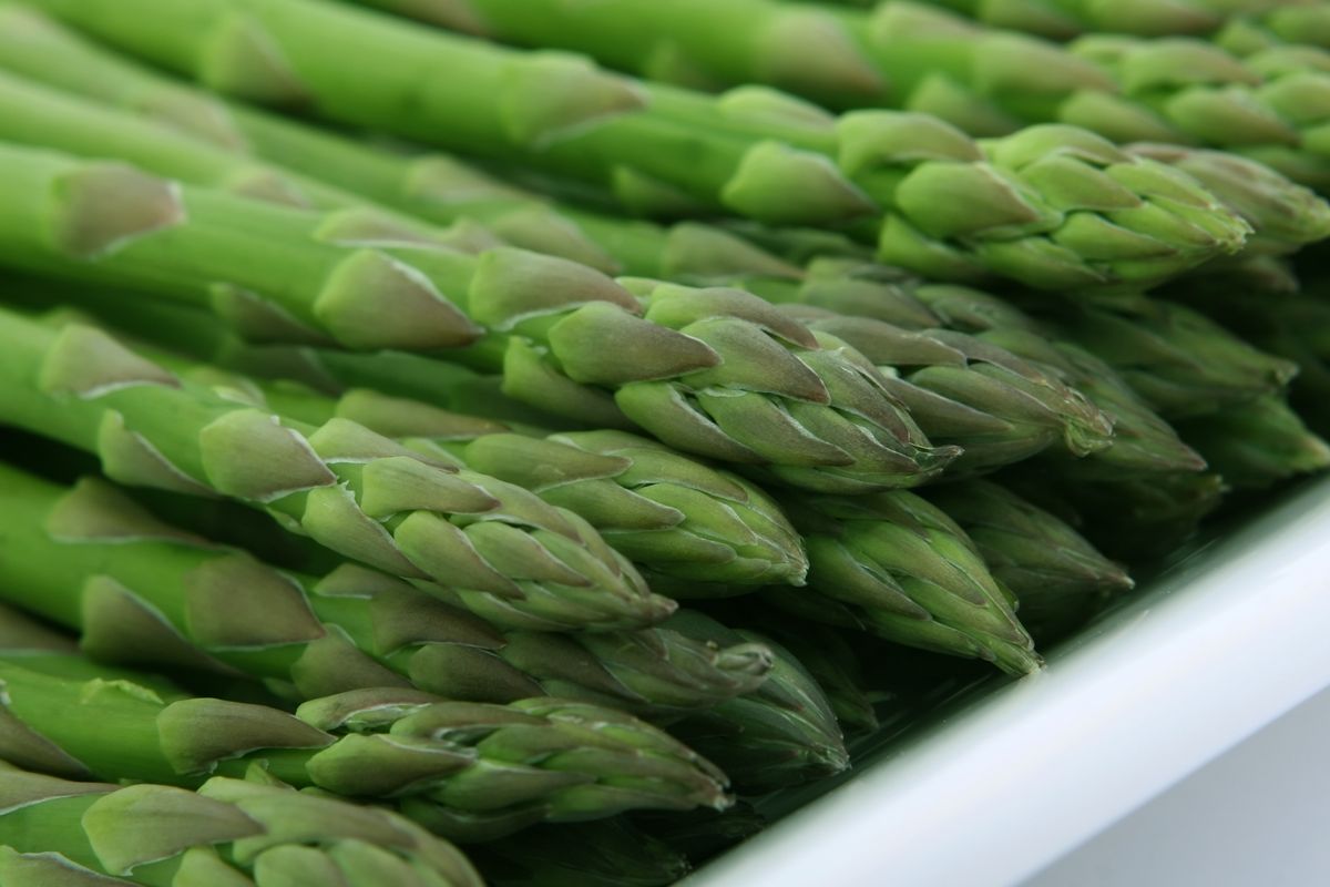 Vitamine B9 (folates) : grossesse et sources alimentaires - Les conséquences d’une carence en vitamine B9 pendant la grossesse