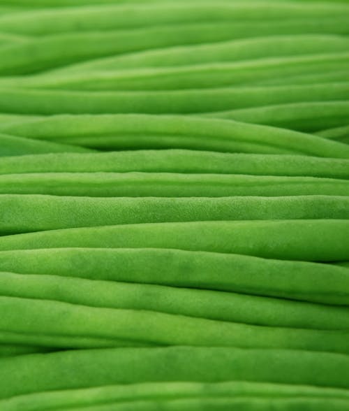 Close-up of a Green Surface 