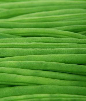 French Green Beans — Haricots Verts