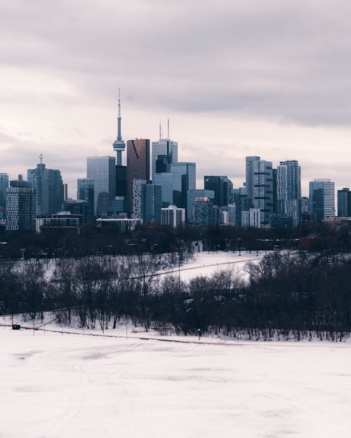 Free High-Rise City Buildings Stock Photo