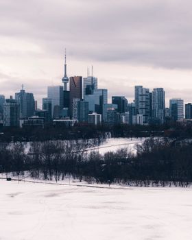 A striking view of Toronto's skyline, featuring the CN Tower amidst a snowy winter landscape.
