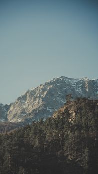 A stunning view of snow-capped mountains above a lush green forest under a clear blue sky.