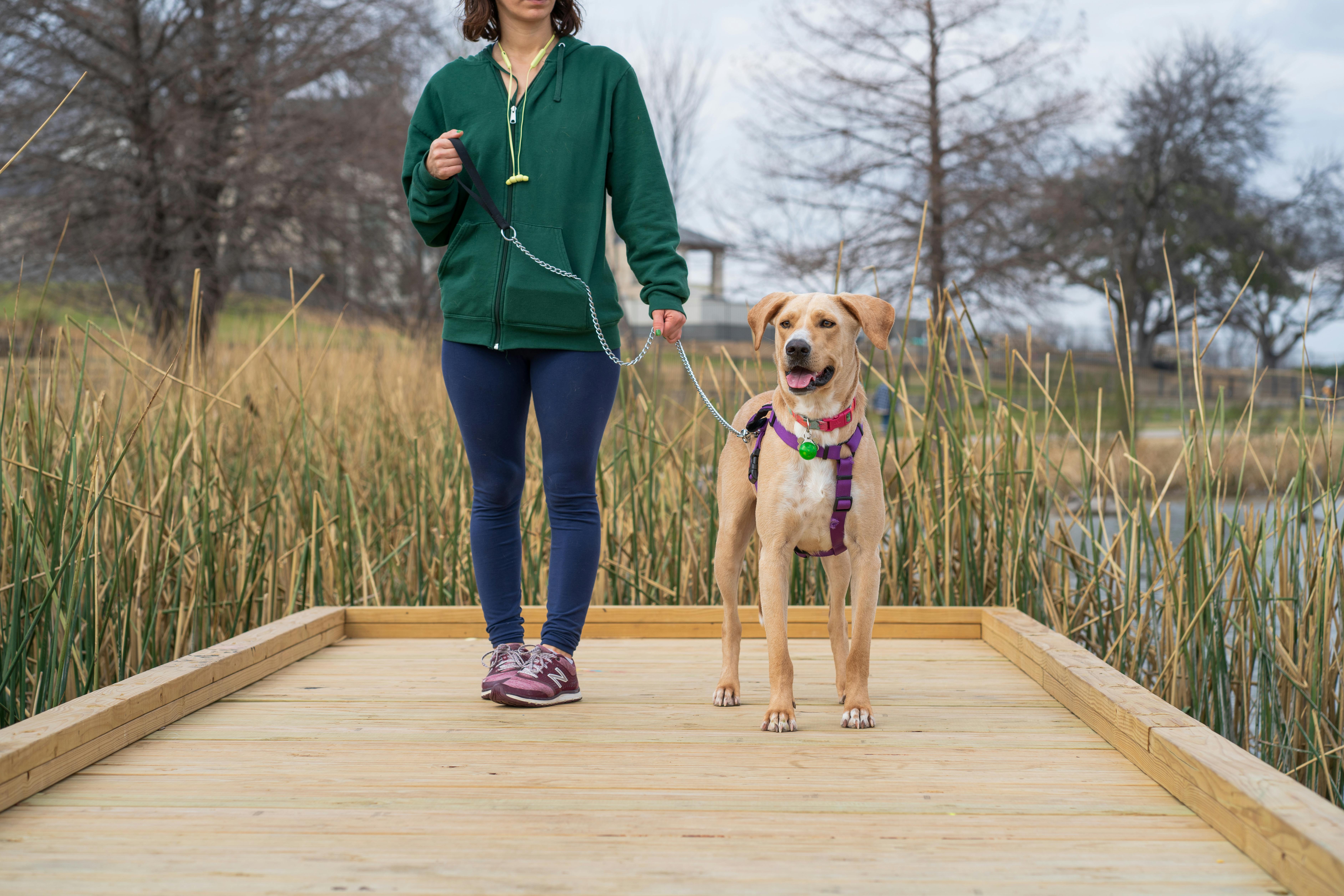 Partnership and grants bring outdoor fitness court and digital wellness to Trenton — Photo by gabesdotphotos photographer on 