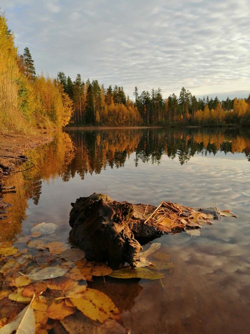 Free Picturesque autumn lake with calm reflections and vibrant foliage creating a tranquil scene. Stock Photo