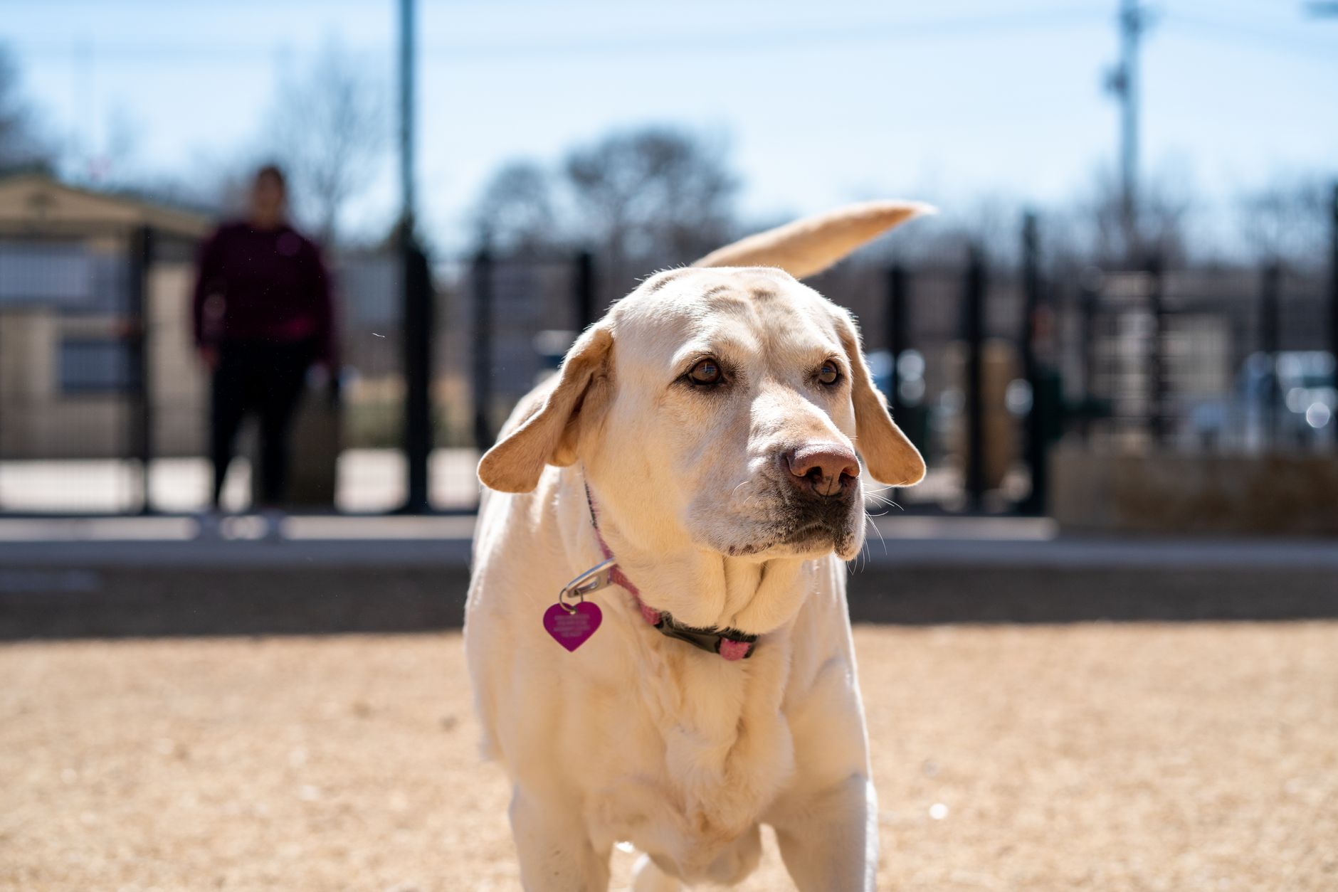 What Is Everything You Need to Know About a Mini Lab?