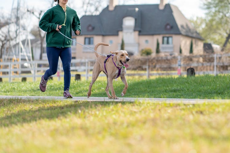 A Person Jogging With A Dog 