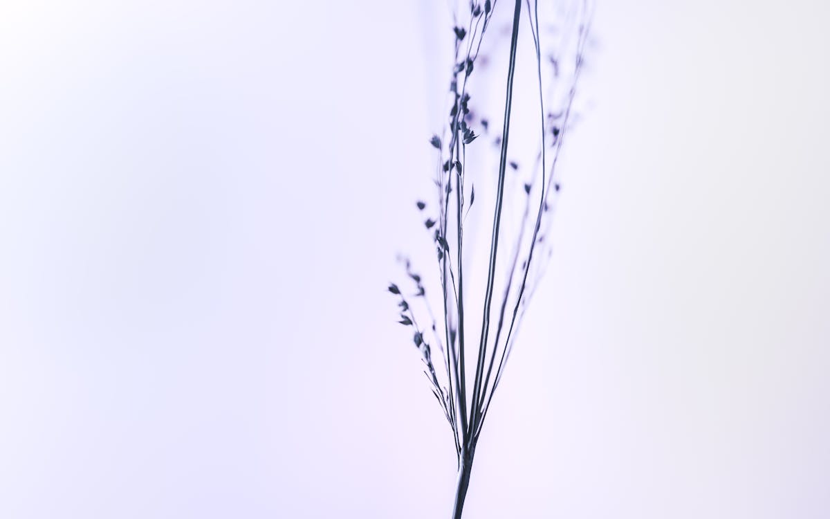 Little Flowers on Twigs