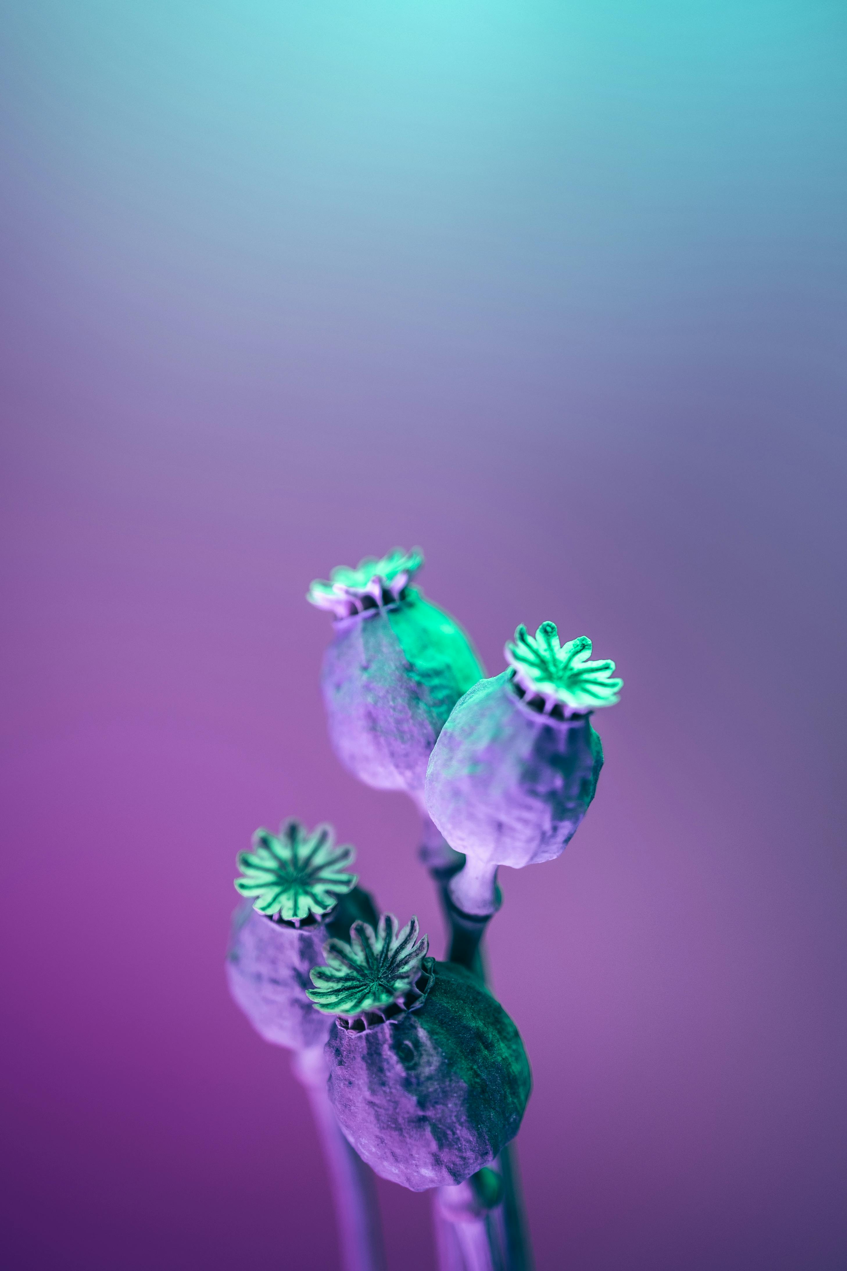 Flume Wallpapers  Wallpaper Cave