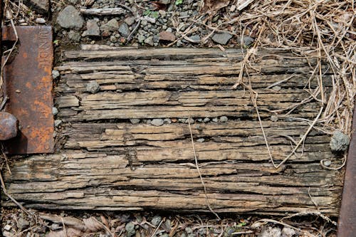Imagine de stoc gratuită din lemn, șină de cale ferată