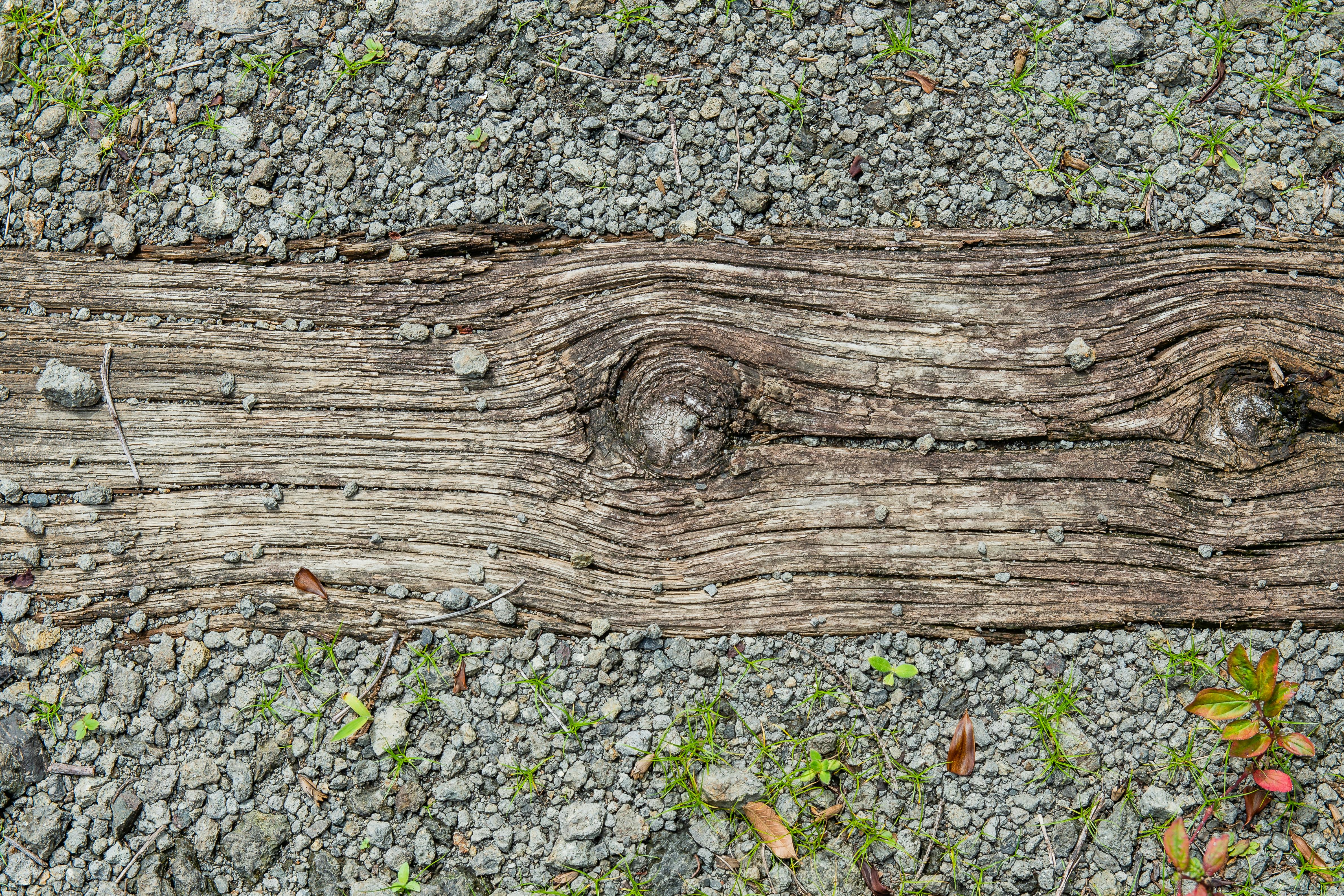 Free stock photo of train tracks, wood