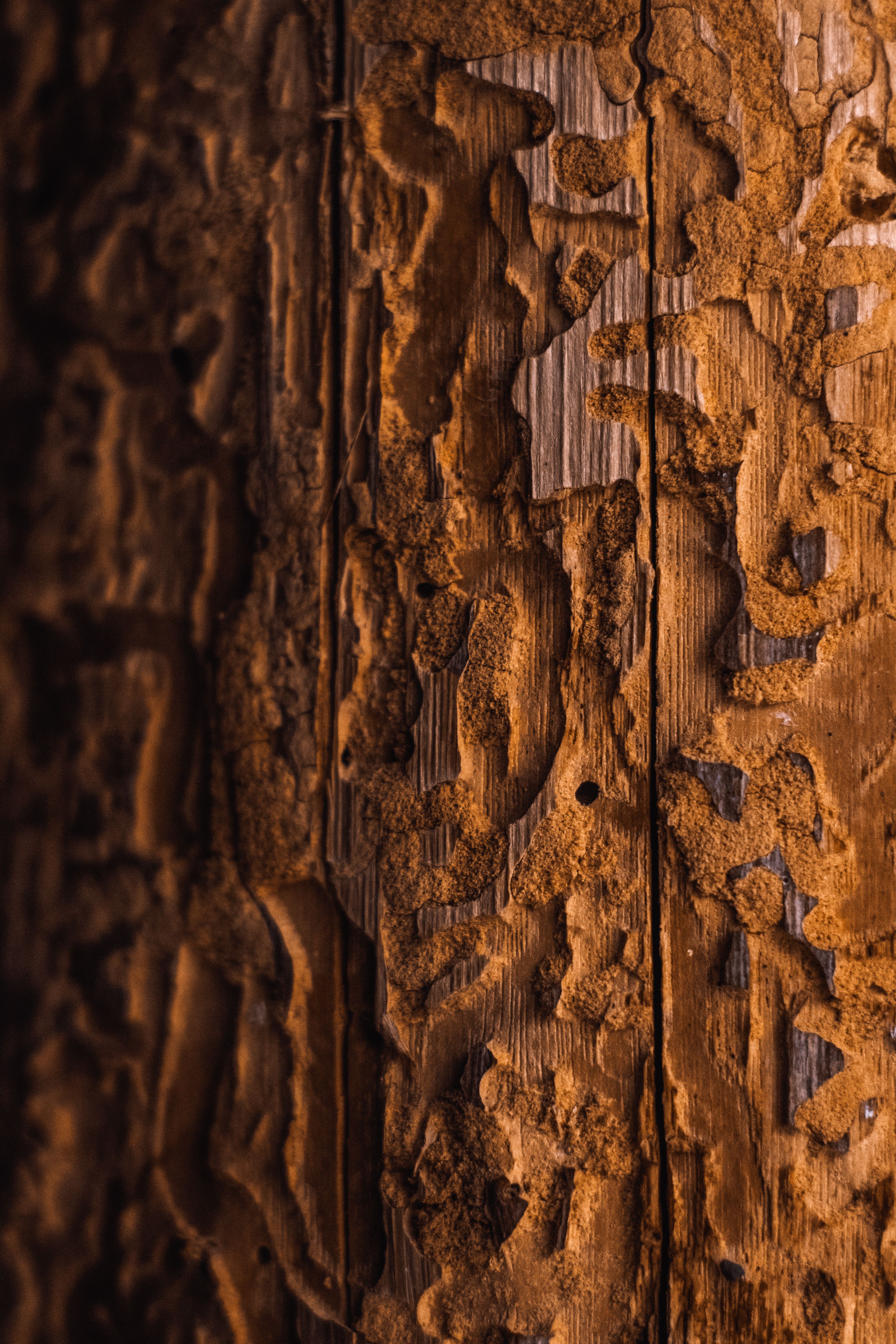 Intricate close-up of carved wooden surface showcasing natural texture and rich brown tones.