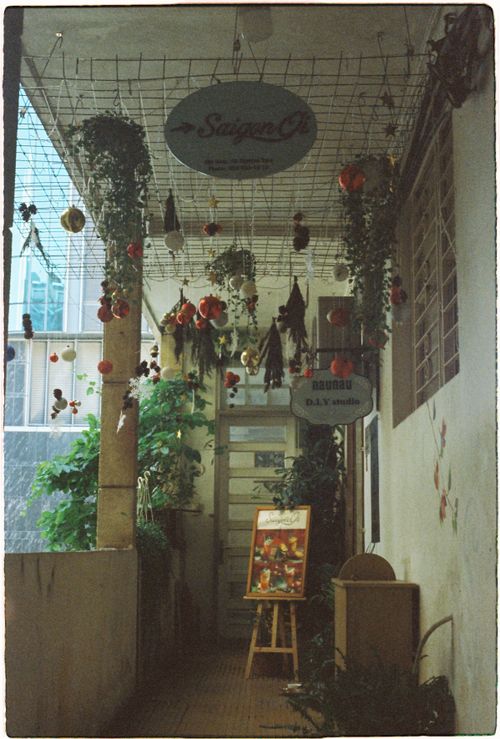 Free A cozy corridor adorned with hanging ornaments and plants evokes a festive holiday spirit. Stock Photo
