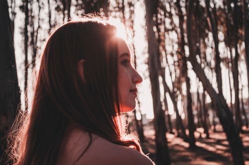 Free A serene side-profile portrait of a woman in a sunlit forest during golden hour. Stock Photo