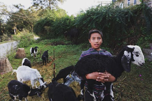 Young Boy Holding a Goat 