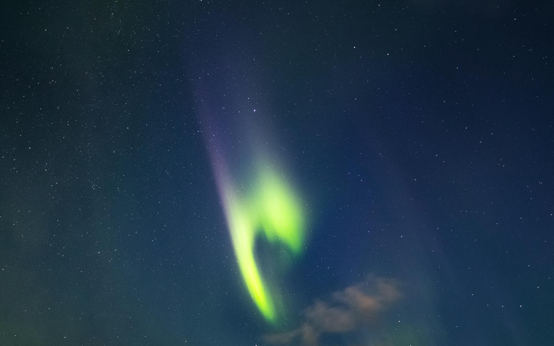 Breathtaking aurora borealis lights up a star-filled night sky.