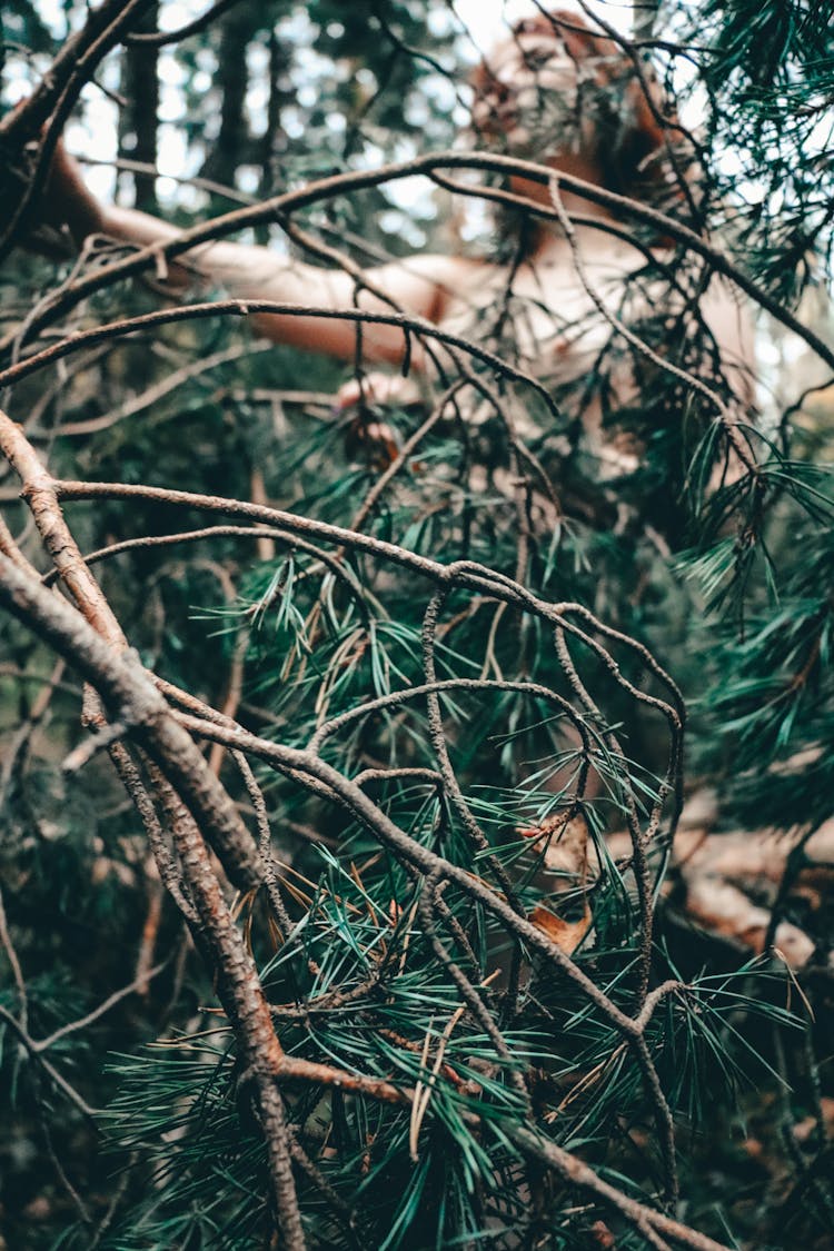 Woman Standing Behind Tree Branches