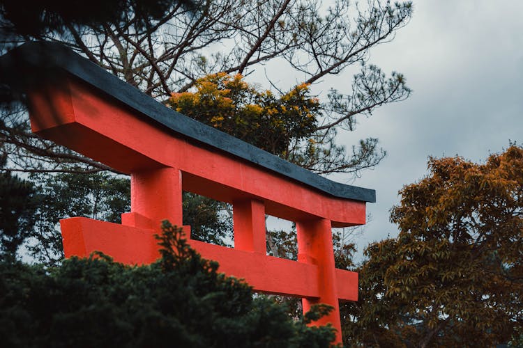 Torii Gate At Fushimi Inari Taisha, Kyoto, Japan