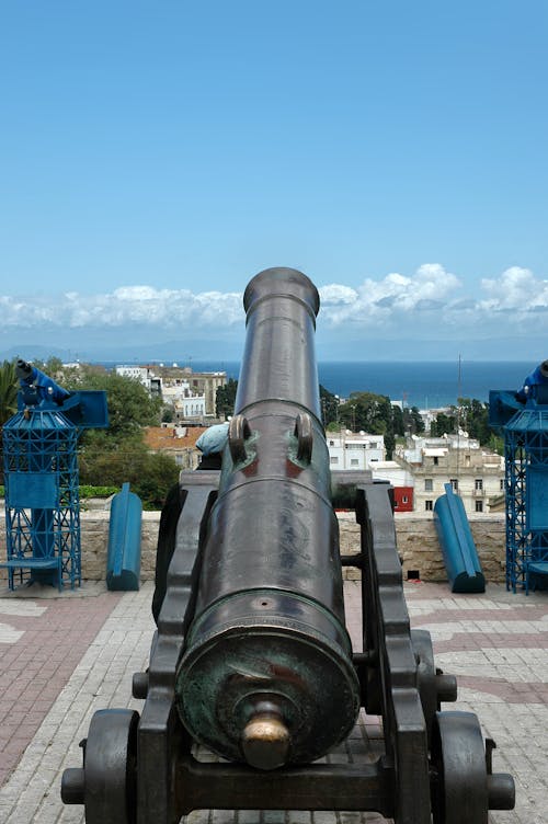 Back View of an Old Cannon