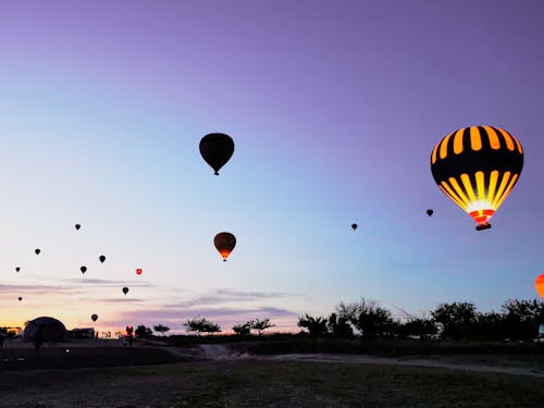 бесплатная Бесплатное стоковое фото с горячие воздушные шары, деревья, закат Стоковое фото