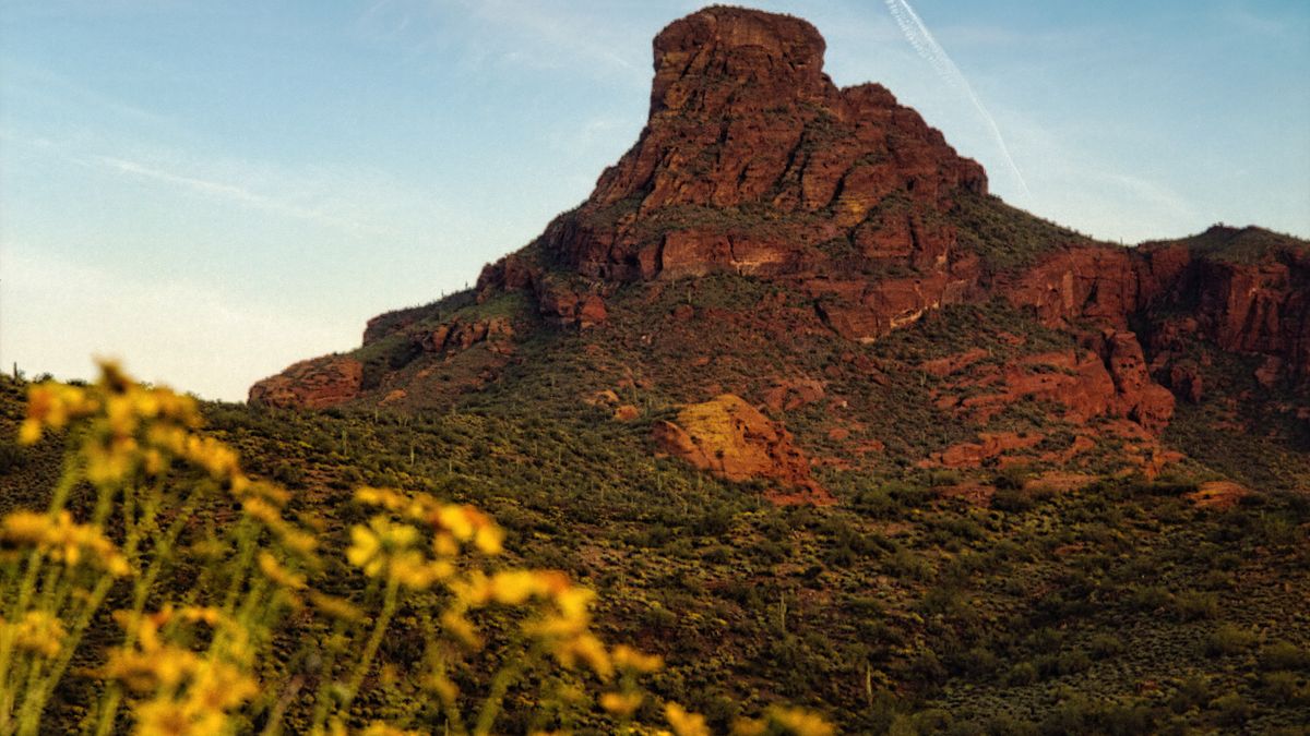 Top Mesa, AZ Beauty Giveaways With No Purchase Necessary: Safe Entry Guide