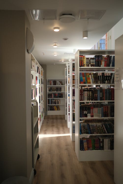 Foto d'estoc gratuïta de biblioteca, disseny d'interiors, habitació