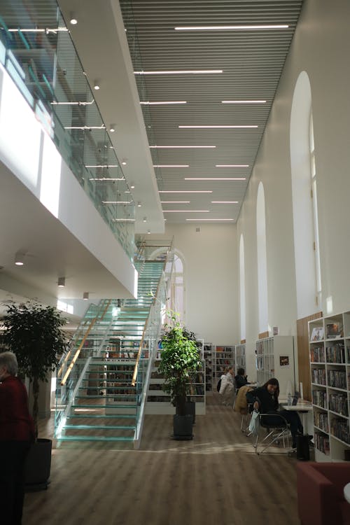 Gratis lagerfoto af bibliotek, bøger, boghylde