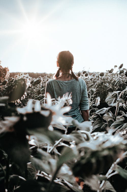 A Woman in a Sunflower Field 