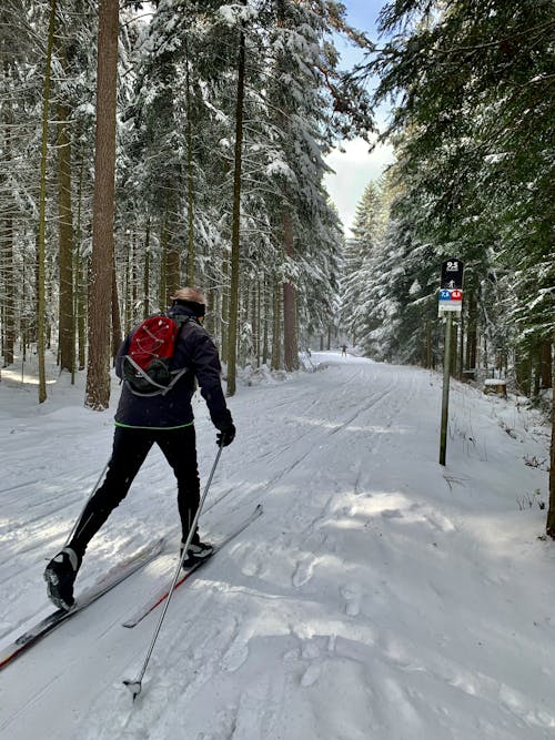 Kostenloses Stock Foto zu rückansicht, schnee, skifahren