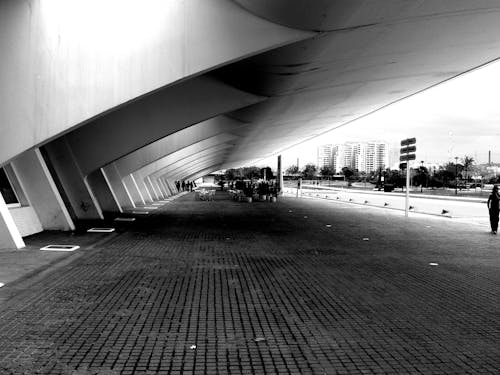 シティ, 歩行者用通路, 白黒の無料の写真素材
