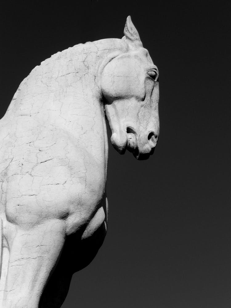 White Horse Statue In Low Angle Shot