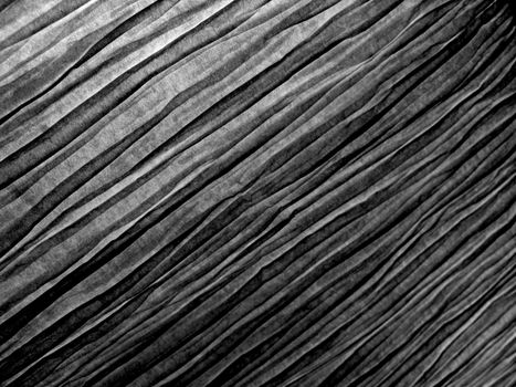 Detailed close-up of a textured textile in black and white.