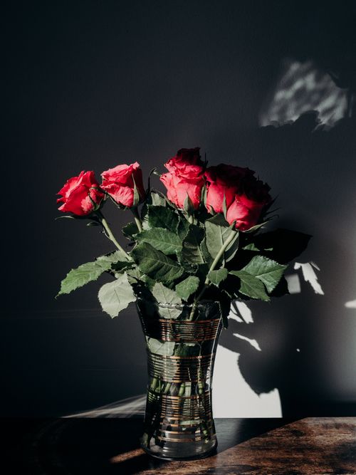 Free A stunning arrangement of red roses in a glass vase with dramatic shadows on the wall. Stock Photo