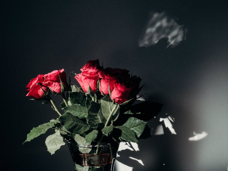 Red Roses In Vase 