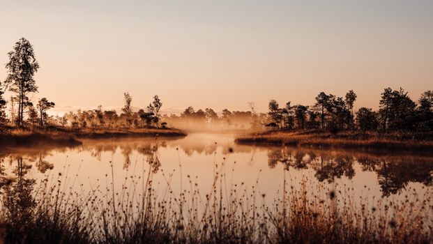 A tranquil sunrise over a reflective lake in Pavasari, Latvia, showcasing a magical landscape.