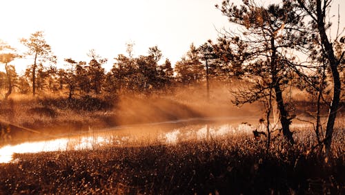 Immagine gratuita di @all'aperto, acqua, alba