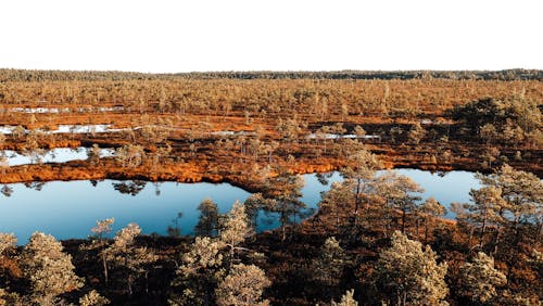 Kostnadsfri bild av drönarbilder, fågelperspektiv, Flygfotografering