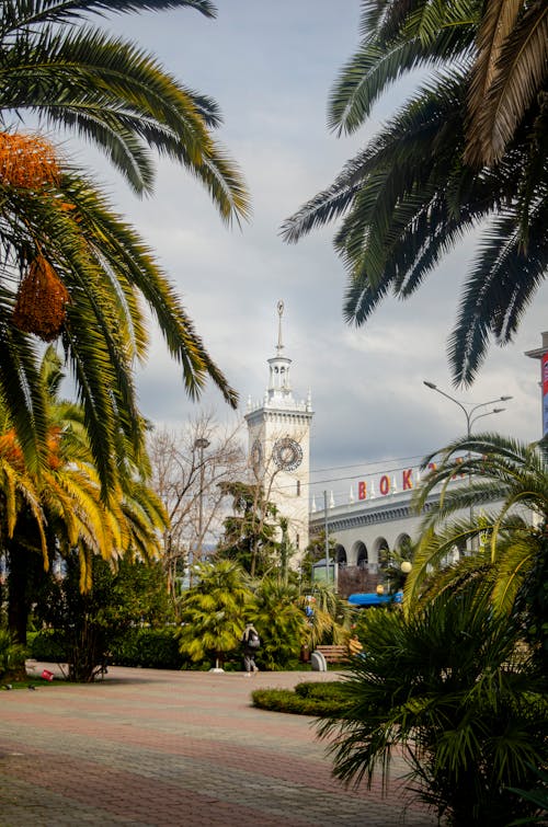 White Concrete Building Surrounded by Palm Trees