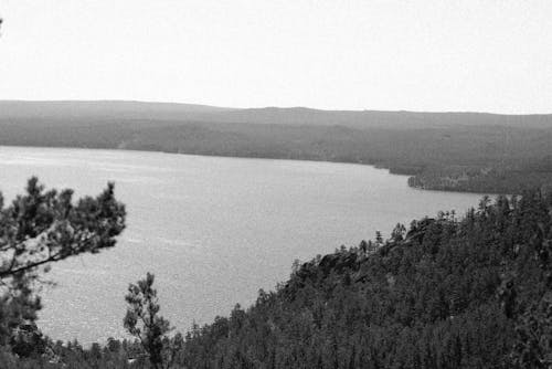 Fotobanka s bezplatnými fotkami na tému čiernobiely, čierny a biely, jazero