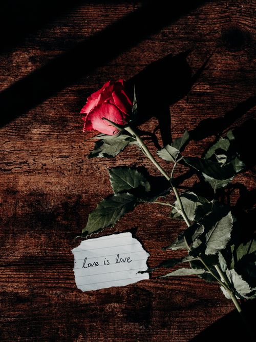 Free A vibrant red rose with a handwritten love note on a wooden table, symbolizing romance and affection. Stock Photo