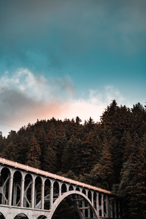 Free Majestic arch bridge spanning a vibrant forest under a colorful sky, showcasing natural beauty and engineering. Stock Photo
